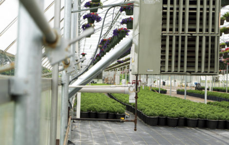 Eight Reasons Modine Greenhouse Heaters are the Cream of the Crop