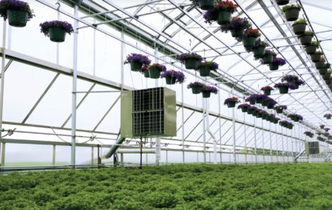 Keep Your Greenhouse Heater Working
